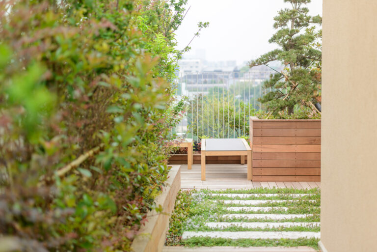 Rooftop terrace
