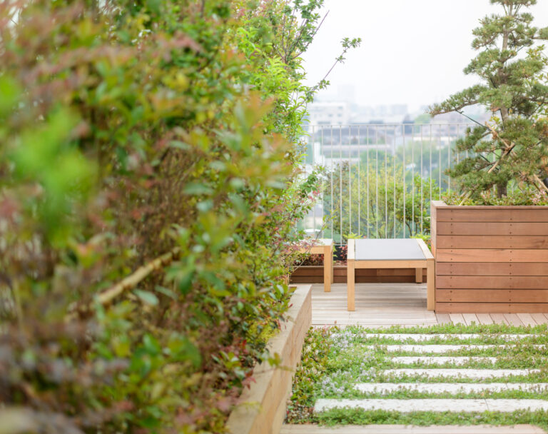 Rooftop terrace