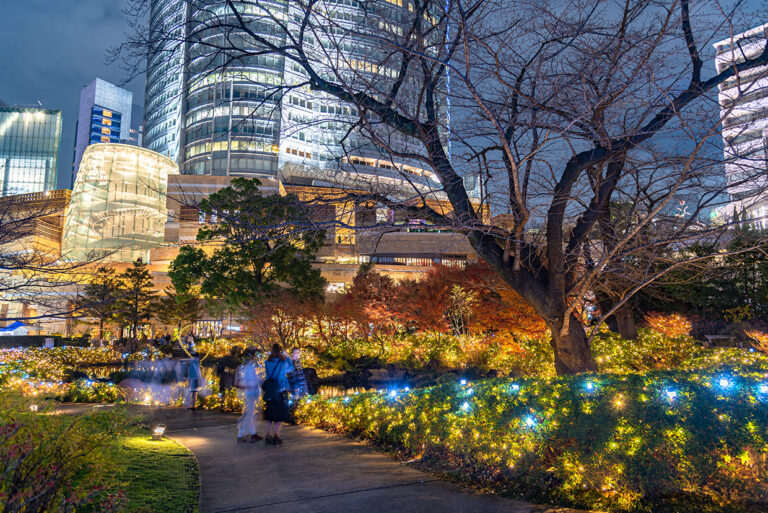 Roppongi Hills winter illumination festival, night view at Mori Park, beautiful view, popular tourist attractions, travel destinations for holiday, famous events in Tokyo city, Japan
