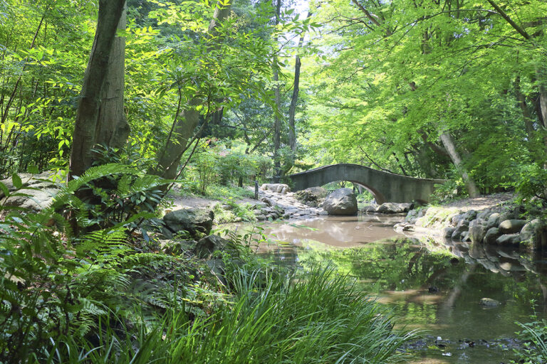 The lush green park follows the contours of the Azabu terrain. With its hills, valleys, and ponds, this is an elegant Japanese garden with respect for natural beauty.