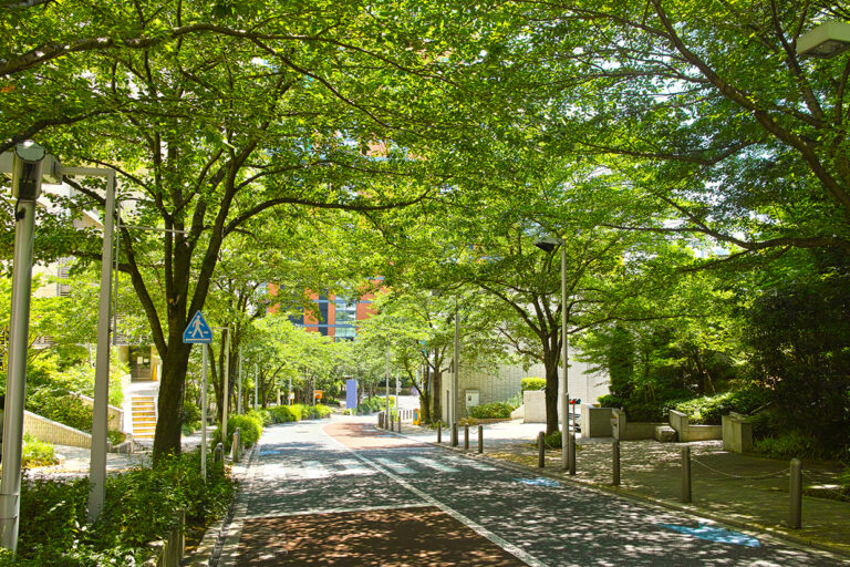 Sunlight Road in Azabu