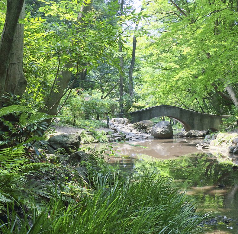 The lush green park follows the contours of the Azabu terrain. With its hills, valleys, and ponds, this is an elegant Japanese garden with respect for natural beauty.