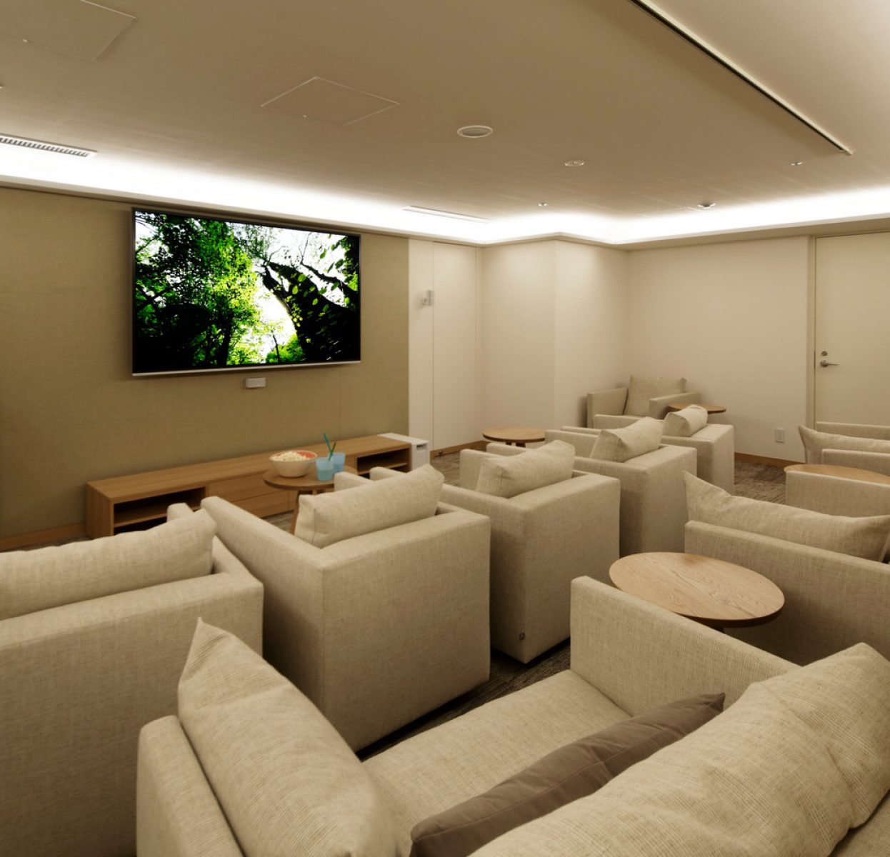 Multimedia room