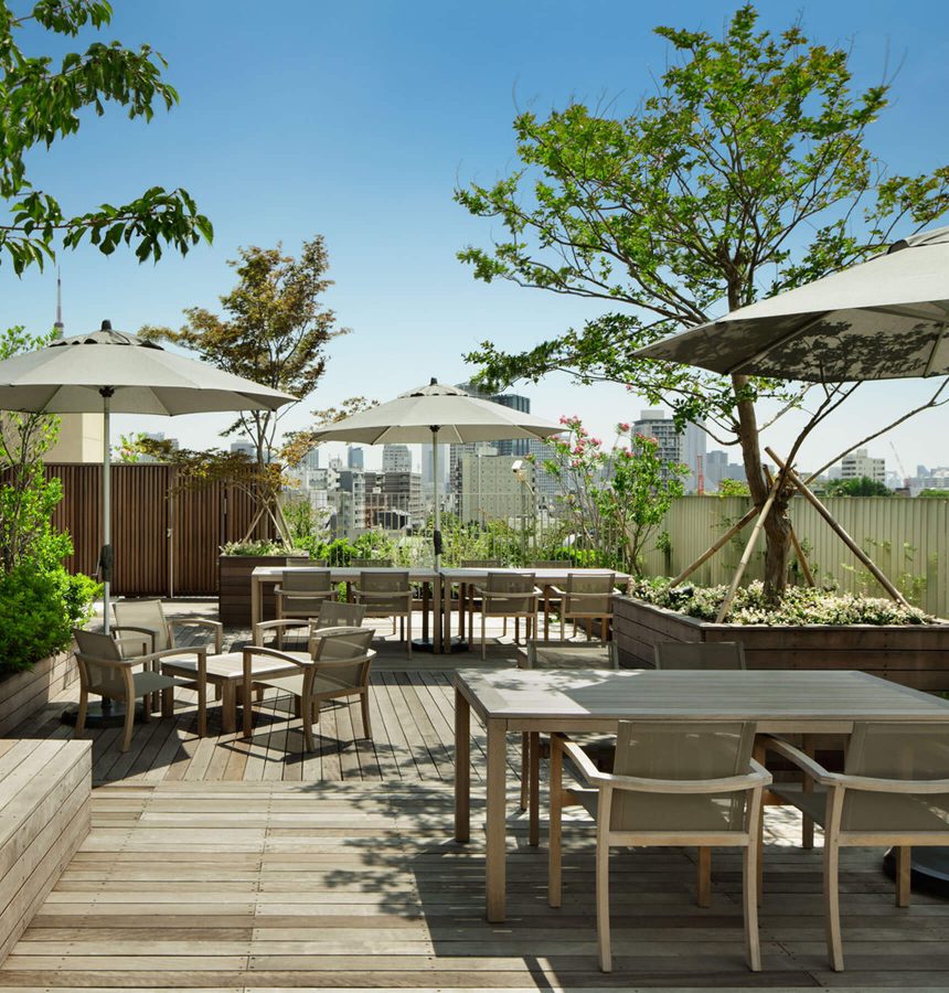 Rooftop terrace